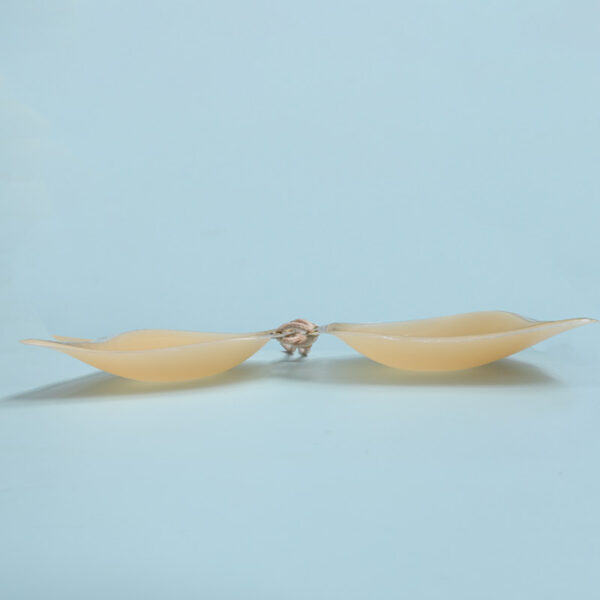 Silicone Bra - Image 3