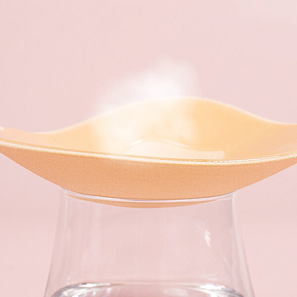 Smooth Adhesive Push-Up Bra with Secure Front Buckle - Image 5